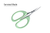 Bloom Series 4" Soft-handled Scissors - Green