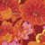 Kaffe Fassett
Lake Blossoms
GP93.red