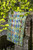 Kaffe Fassett's Quilts in an English Village Kaffe Fassett's Quilts in an English Village