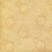 DHER1021-TEADYE
Dutch Heritage, Two-Tone-Tea Dye