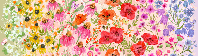 Superbloom by Robin Pickens - Pastel per 1/2 yard