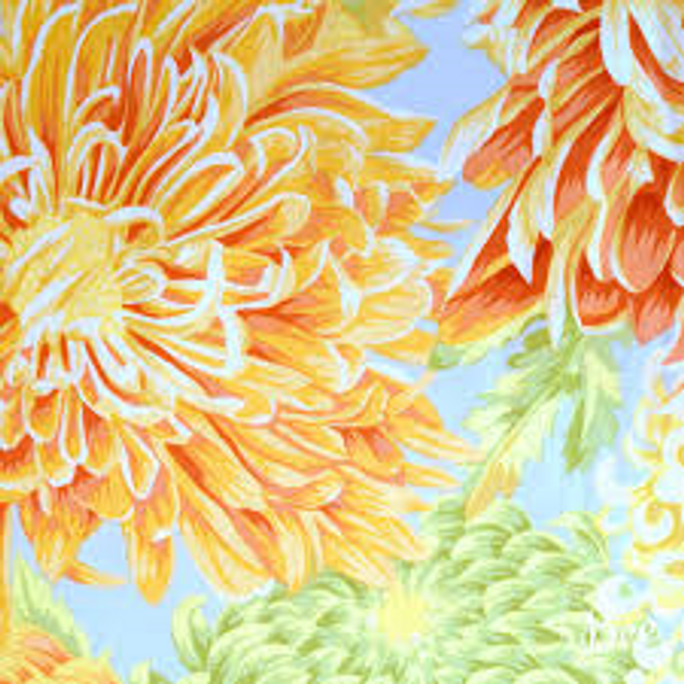 Philip Jacobs
Japanese Chrysanthemum
Yellow