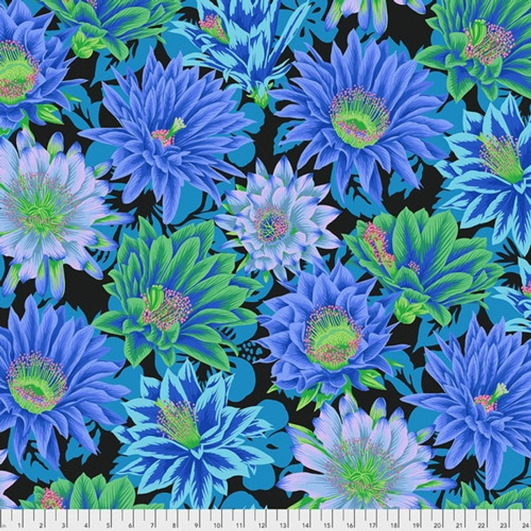 Cactus Flower - Cool
Philip Jacobs
Kaffe Fassett Collective
