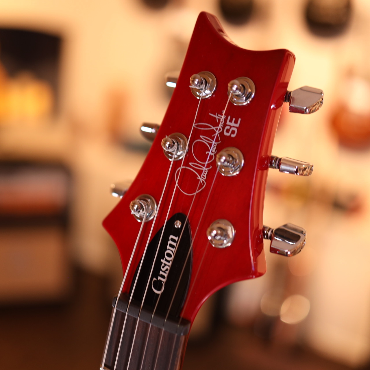 PRS SE Custom 24 - Lake Blue 7409