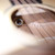 Furch Pioneer EM Acoustic Travel Guitar, Spruce/Mahogany CNR Active Neck System