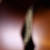 Godin 5th Avenue CW Kingpin II P90- Cognac Burst 0063