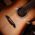 Alvarez AED90 Artist Ebony Elite Dreadnought Acoustic Guitar 3277