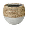 UrbanGrass Olive Pot