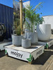 GeoLite Lined Tumbler Planter display