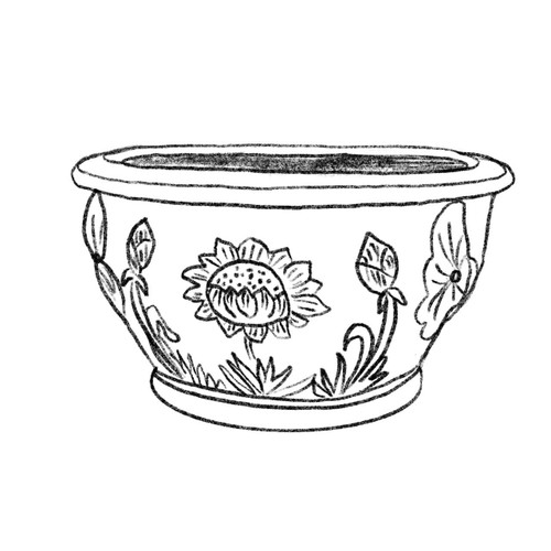 Lotus Water Bowl Drawing