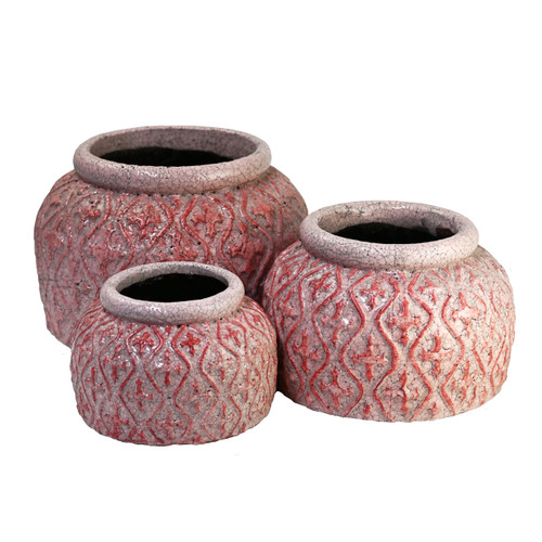 Tang Ginger Pot Rose - 3 sizes available