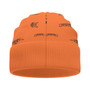 CIVIC BEENIE
