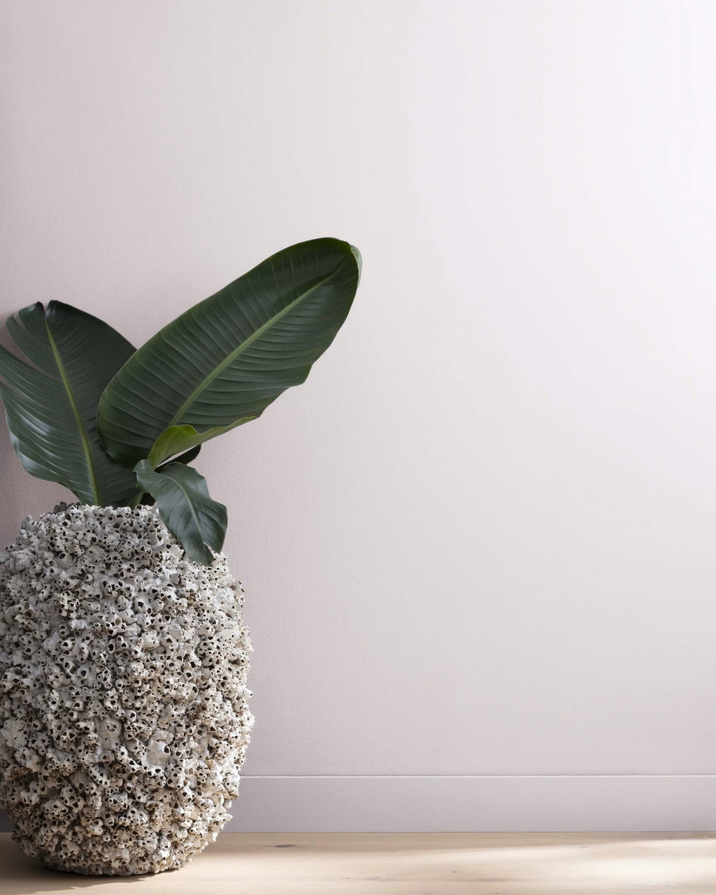 Benjamin Moore - Purples