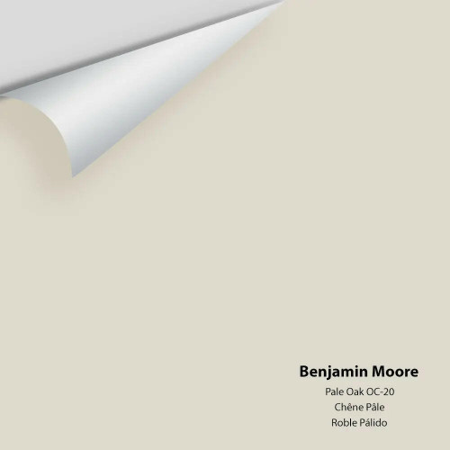Pale Oak OC-20 - Benjamin Moore - Colour Sample