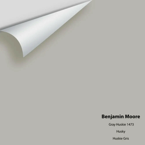 Gray Huskie 1473 - Benjamin Moore - Colour Sample