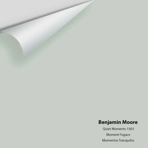 Quiet Moments 1563 - Benjamin Moore -Colour Sample