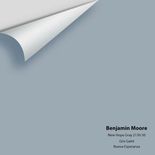 New Hope Gray 2130-50- Benjamin Moore - Colour Sample