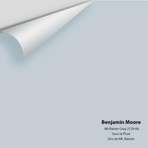 Mt. Rainier Gray 2129-60- Benjamin Moore - Colour Sample