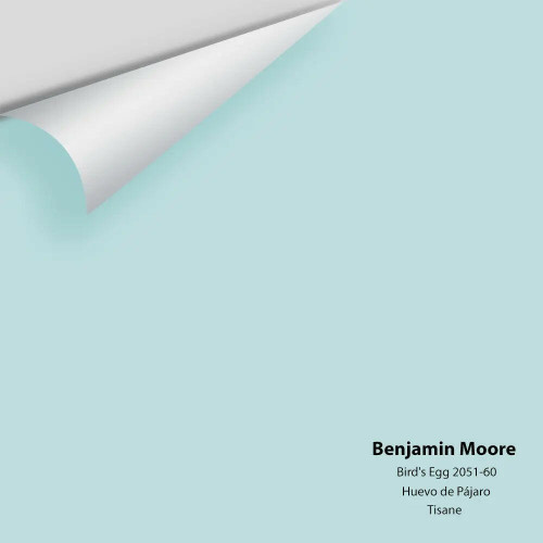 Bird's Egg 2051-60-Benjamin Moore-Colour Sample