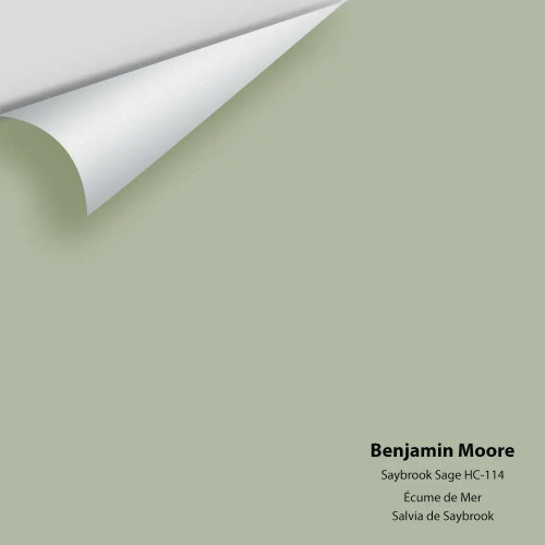 Saybrook Sage HC-114 - Benjamin Moore - Color Sample