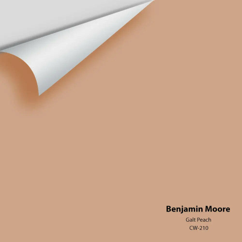 Benjamin Moore - Galt Peach CW-210 Colour Sample