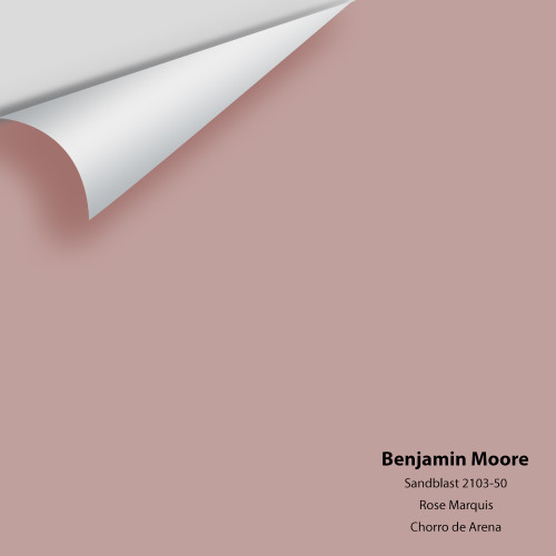 Sandblast 2103-50 - Benjamin Moore - Colour Sample