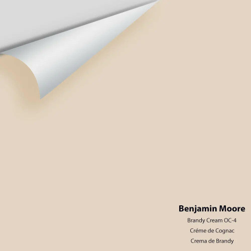 Brandy Cream 1030 / CC-60 / OC-4 - Benjamin Moore