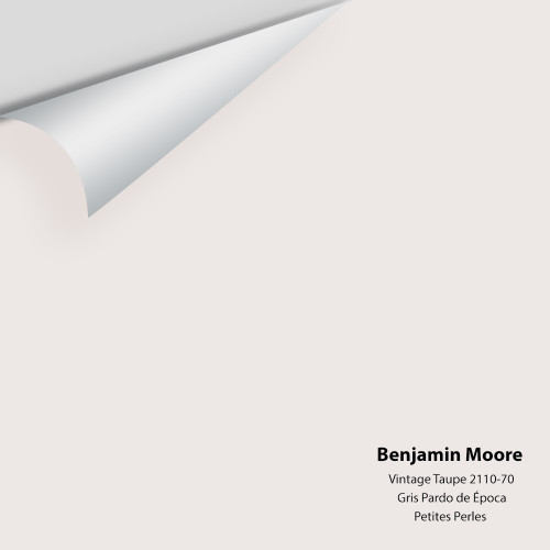 Vintage Taupe 2110-70 - Benjamin Moore - Colour Sample