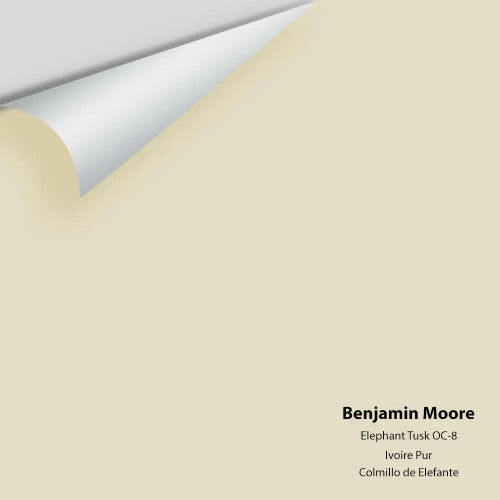 Elephant Tusk OC-8 - Benjamin Moore - Colour Sample