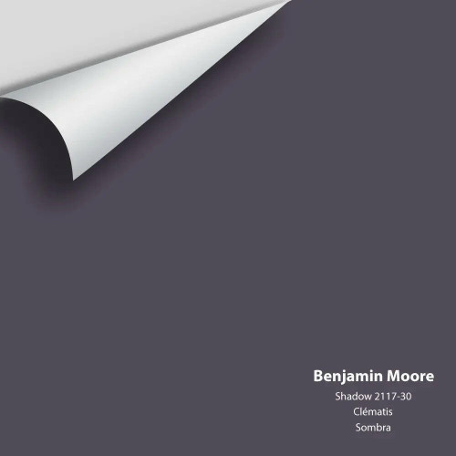 Benjamin Moore - Shadow 2117-30 Colour Sample