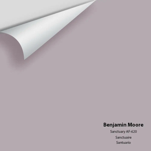 Benjamin Moore - Sanctuary AF-620 Colour Sample