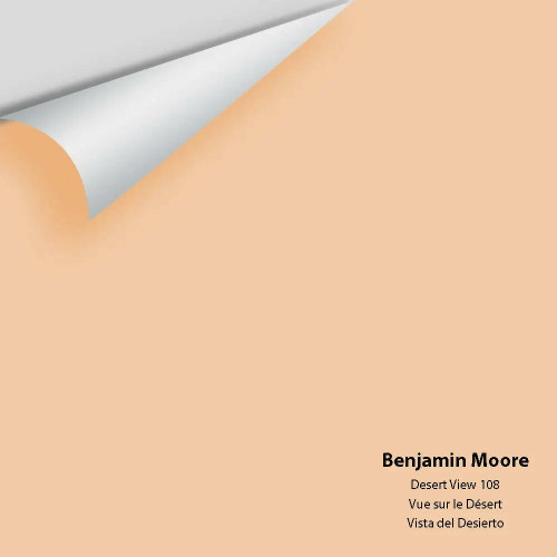 Benjamin Moore - Desert View 108 Colour Sample