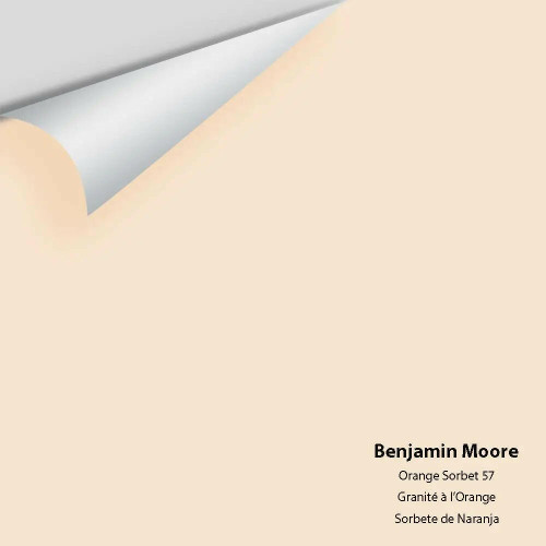 Benjamin Moore - Orange Sorbet 57 Colour Sample