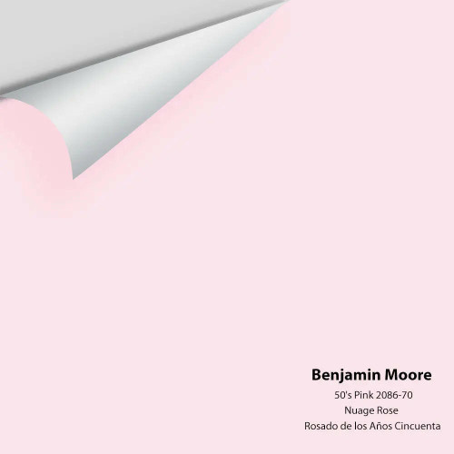 Big Paint Chip - 50's Pink 2086-70