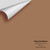 Maryville Brown HC-75 Color Sample Peel and Stick Color Samples painted with real Benjamin Moore paint!