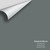 Gunmetal 1602 - Benjamin Moore - Color Sample