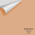 Big Paint Chip - Casabella 102