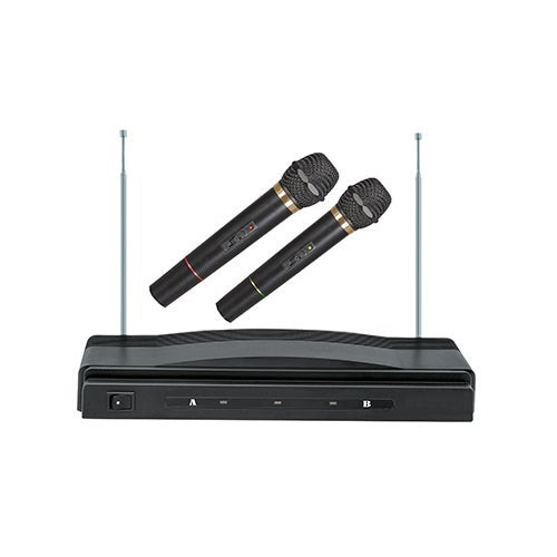 Professional Dual Wireless Microphone System