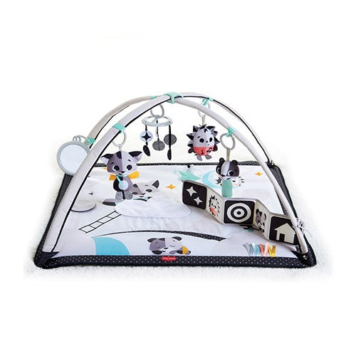 Magical Tales Black & White Gymini