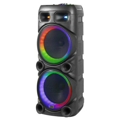 2 x 12" Pro DJ Party Speaker