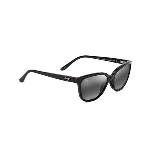 Honi Polarized Sunglasses Shiny Black Frame Neutral Gray Lens