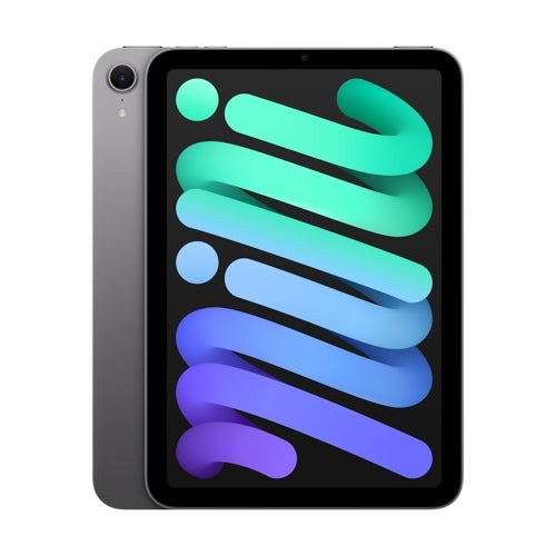 8.3" iPad Mini Wifi 7th Gen 256GB Space Gray
