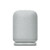 LinkBuds Portable Wireless Speaker Light Gray