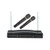 Professional Dual Wireless Microphone System