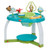 5-in-1 Stationary Activity Center Meadow Days