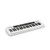 Casiotone 61 Key Portable Keyboard White