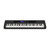 Casiotone 61-Key Portable Keyboard w/ AiX
