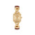 Ladies Cass Gold & Brown Leather Strap Square Watch Gold Dial