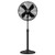 Portable Stand Fan