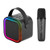 Mini Karaoke Bluetooth Speaker w/ Wireless Mic & Front RGB Black